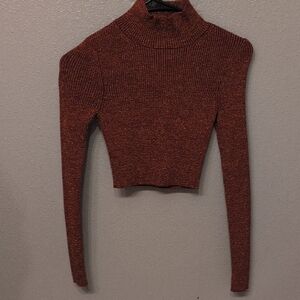 Zara Metallic Rust Turtleneck Sweater